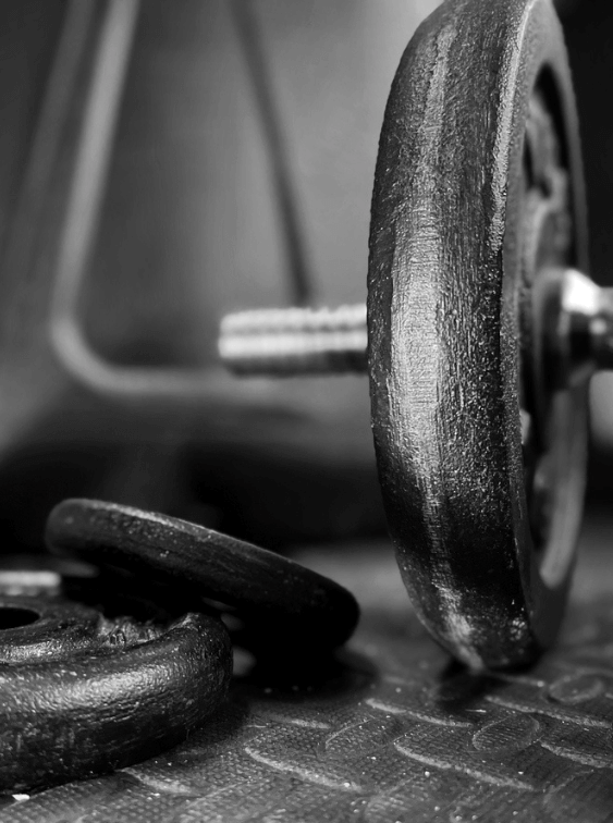 body pump sneakpea